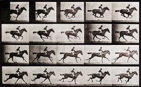 Eadweard Muybridge